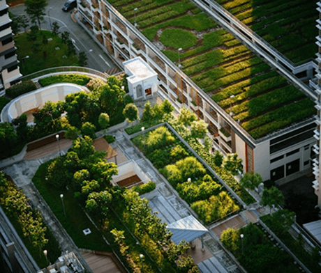 Designing a Sustainable Future